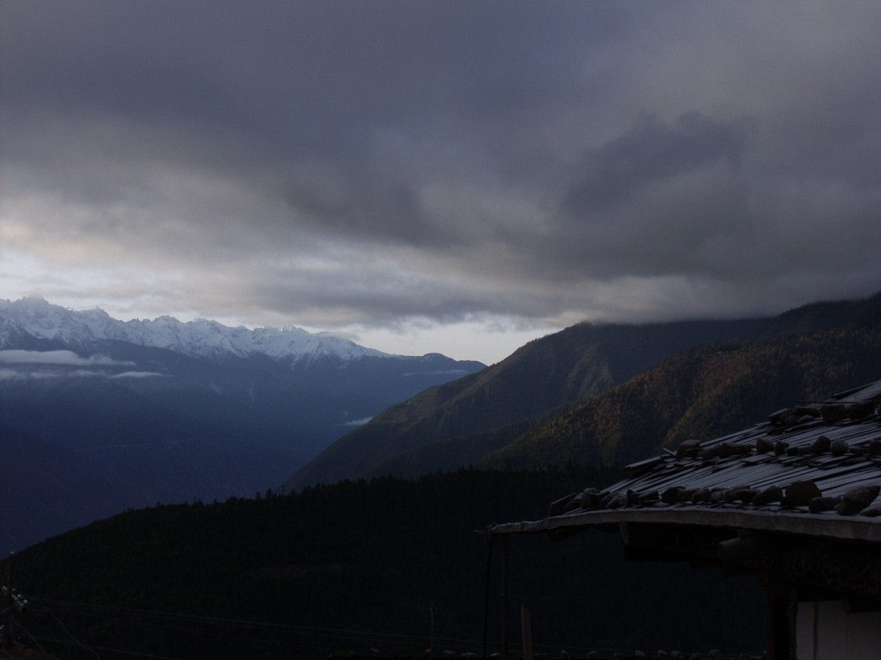 y4030329.jpg