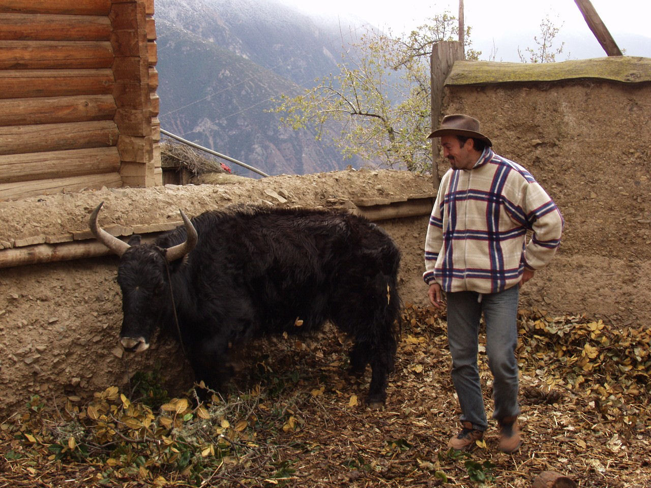 y4030334.jpg