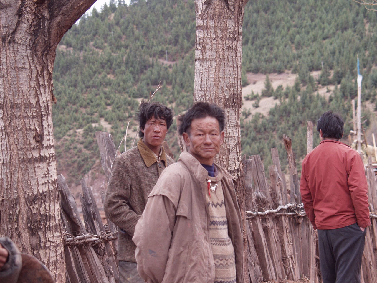 y4030357.jpg