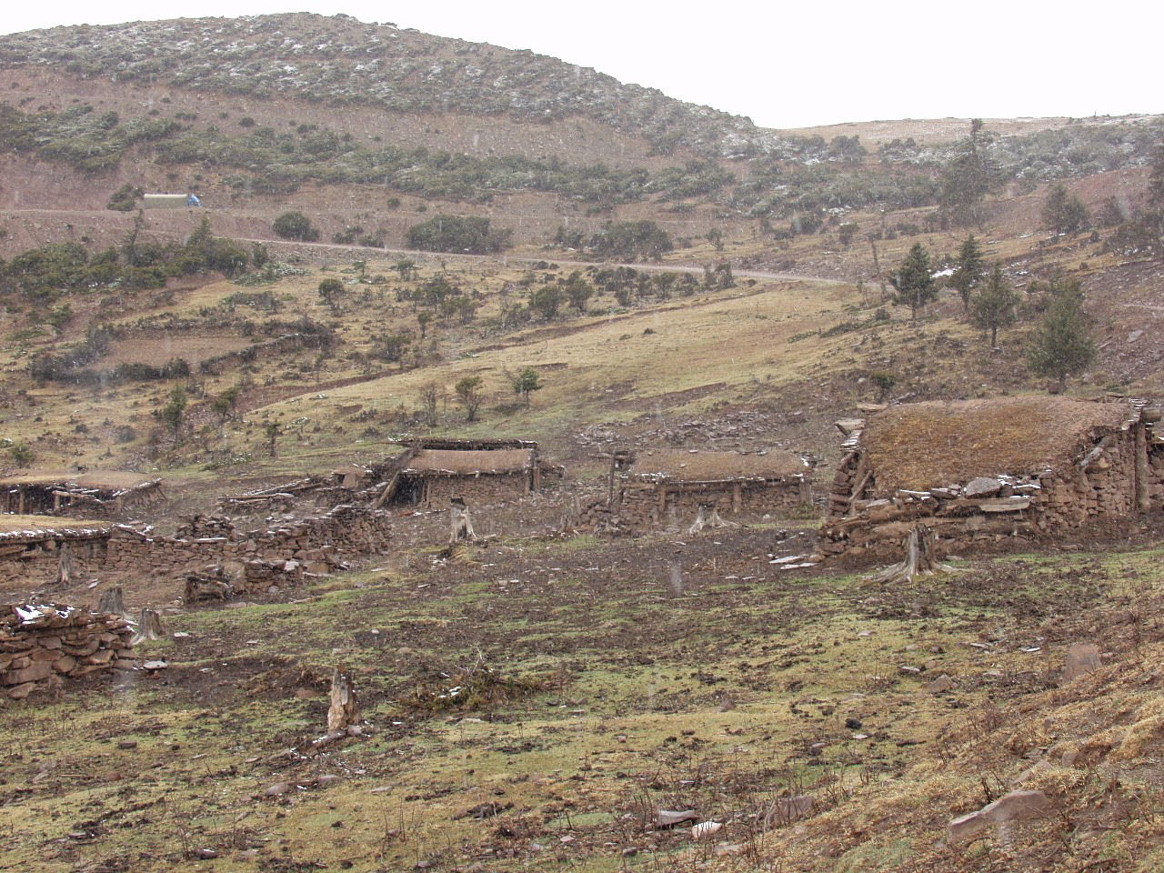 y4030362.jpg