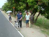 Photo Number 15